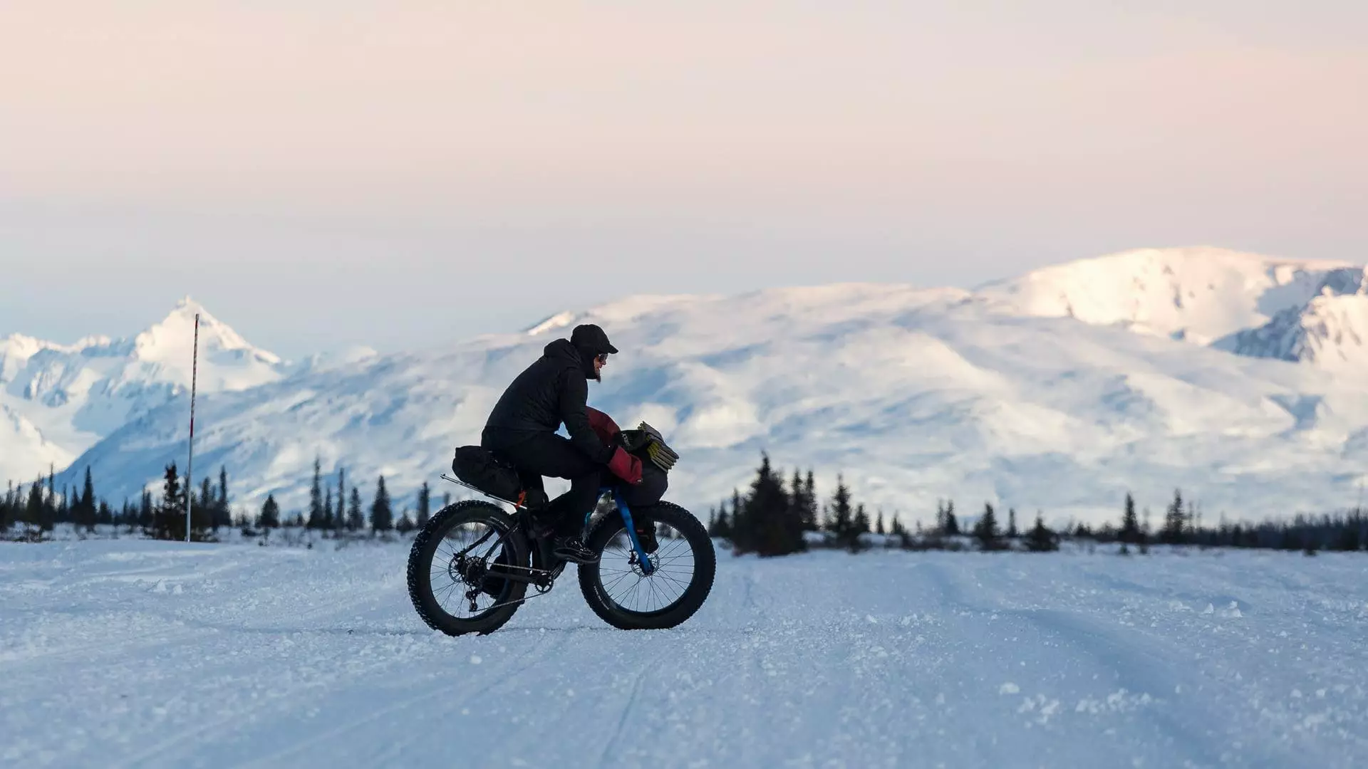 Forside -Cykeltøj til kvinder Salg 148988843 3981646445199692 2133474766923771855 n